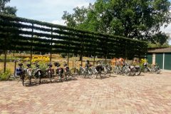 IMG_20190808_1233262