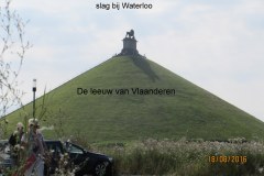 IMG_5393