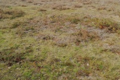 IMG_20201019_150536