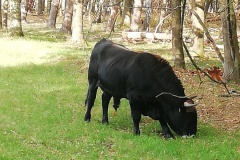 IMG_20201019_151842