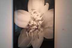 IMG-20220215-WA000318785