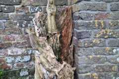 IMG-20220215-WA002218800