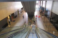 2022-06-11 Herdershond