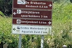 2024-06-13 Biesbosch