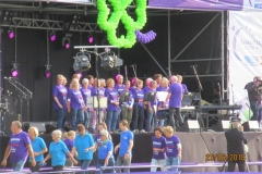 Decibel zingt