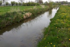 2019-04-17 | Wandeling Lente